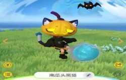 一起来捉妖南瓜头黑猫技能 一起来捉妖南瓜头黑猫怎么抓