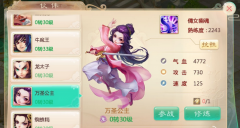 大话西游手游伙伴搭配详解