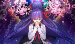 FateGrandOrder蓝卡队搭配技巧分享