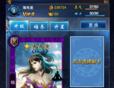 东邪西毒手游侠客搭配攻略